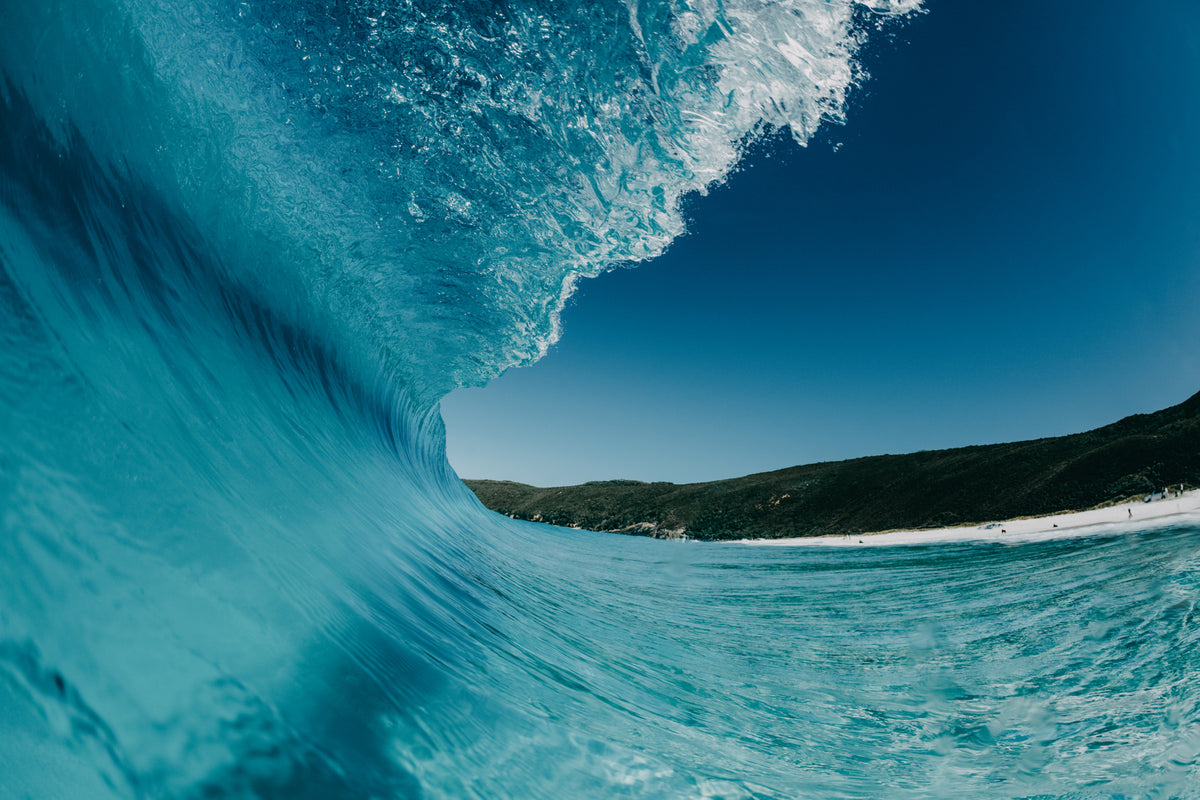 WAVES & SURF