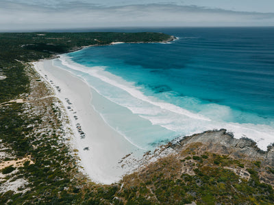 Blossoms Bay