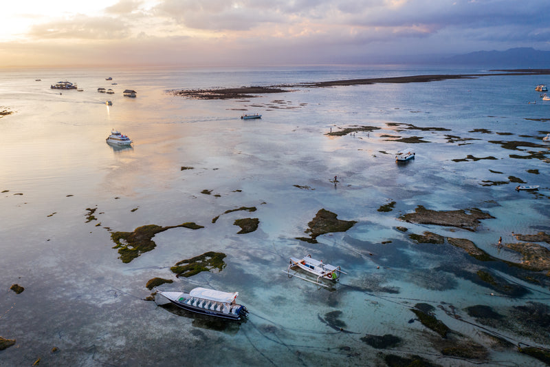 Reef Parking