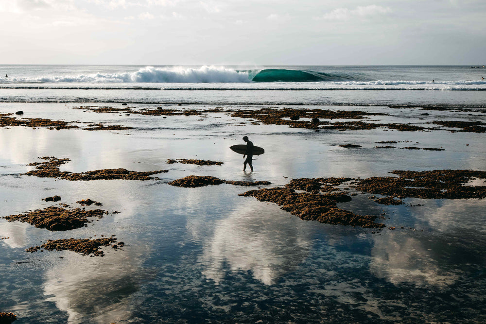 Reef Walk