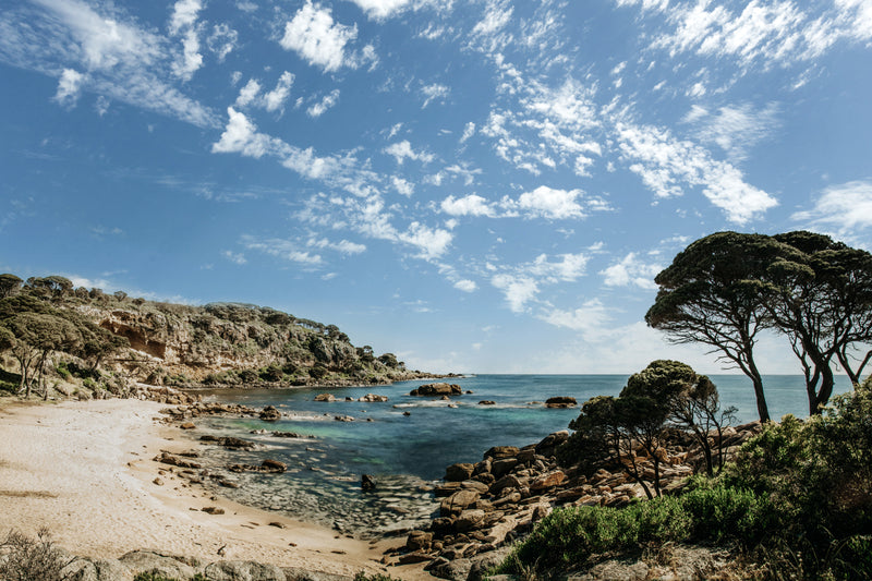 Point Picquet