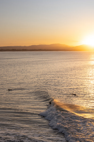 Golden Curl Panoramic