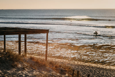 Dunes Wave