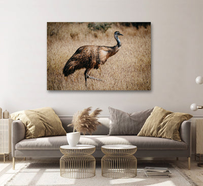 Emu Export