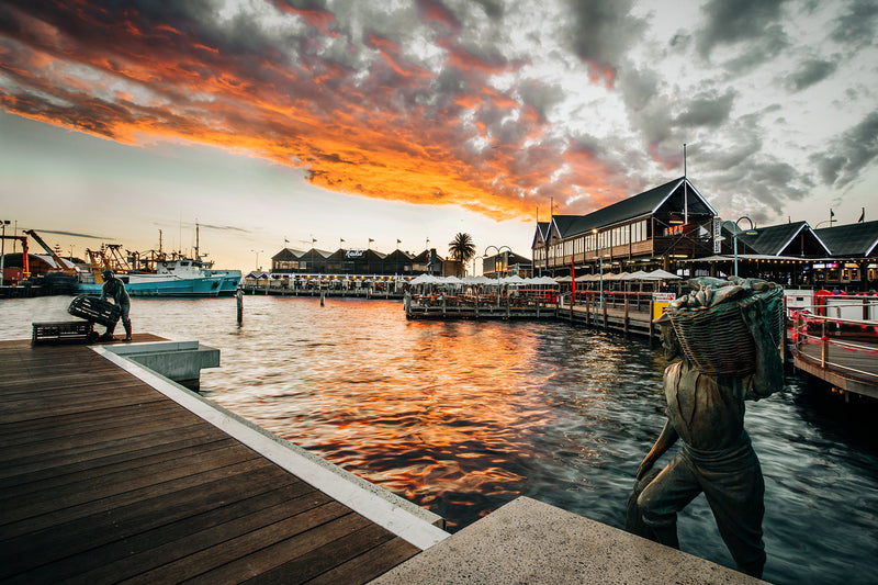 Sunset Sailors