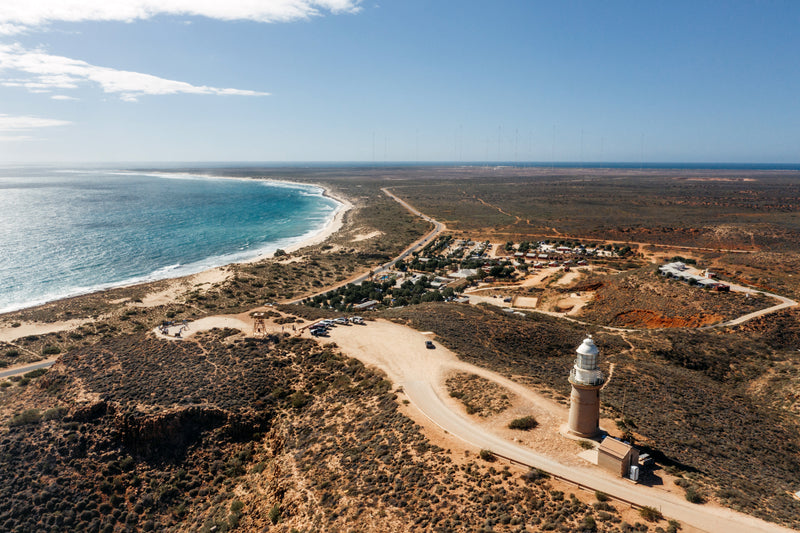 Lighthouse Lookout