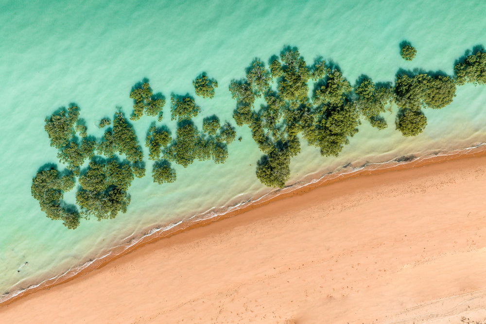 Colours of Broome