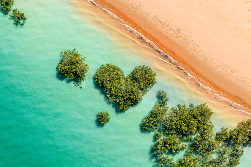 Mangrove Heart