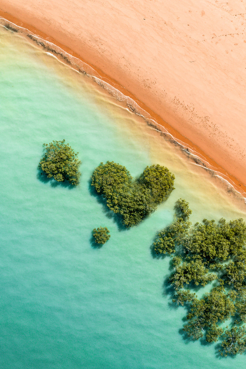 Mangrove Heart Panoramic