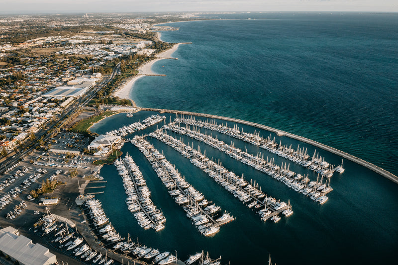 South Freo