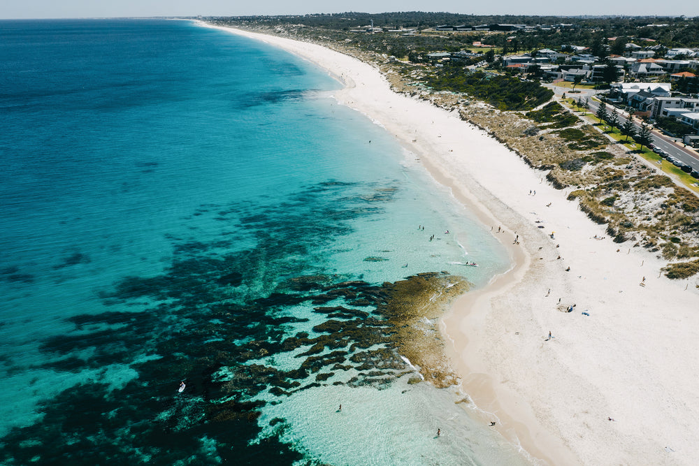 Swanbourne Paddler