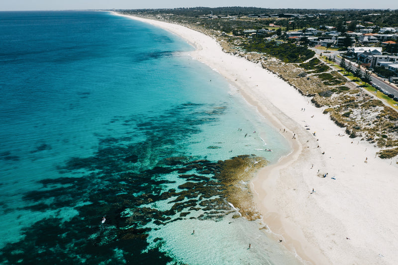 Swanbourne Paddler