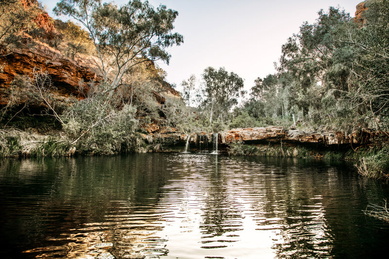 Fern Pool
