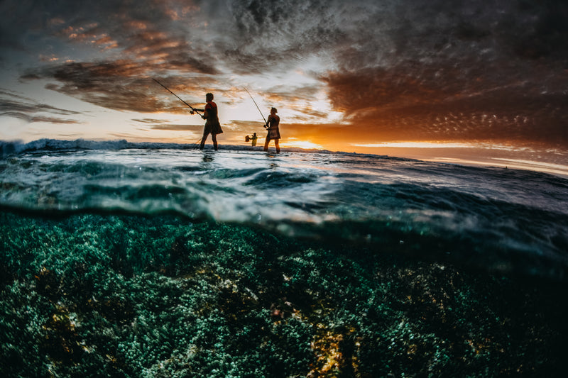Fishing Off The Reef