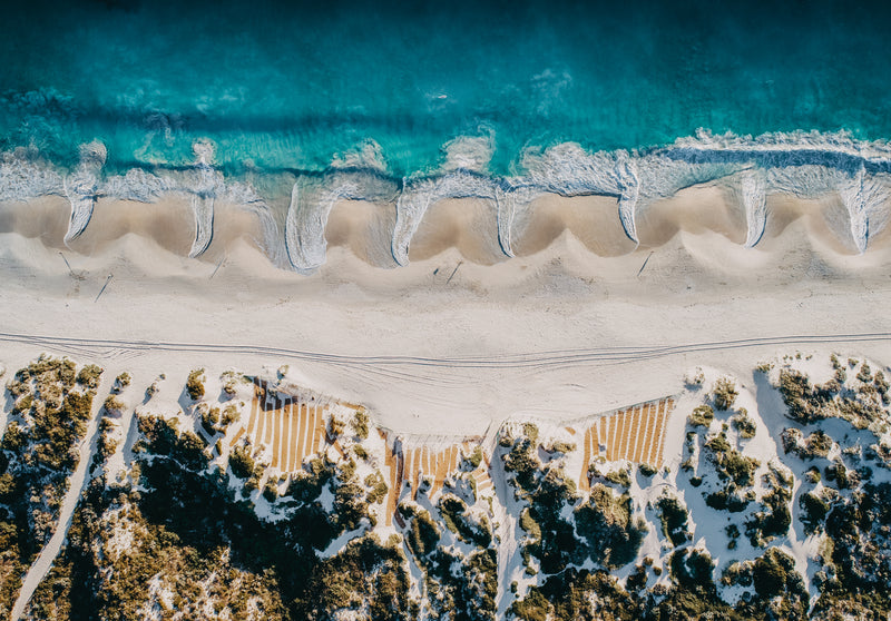 Ocean Claw