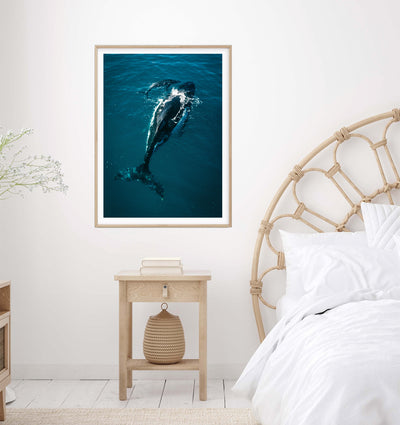 Whale's Tale