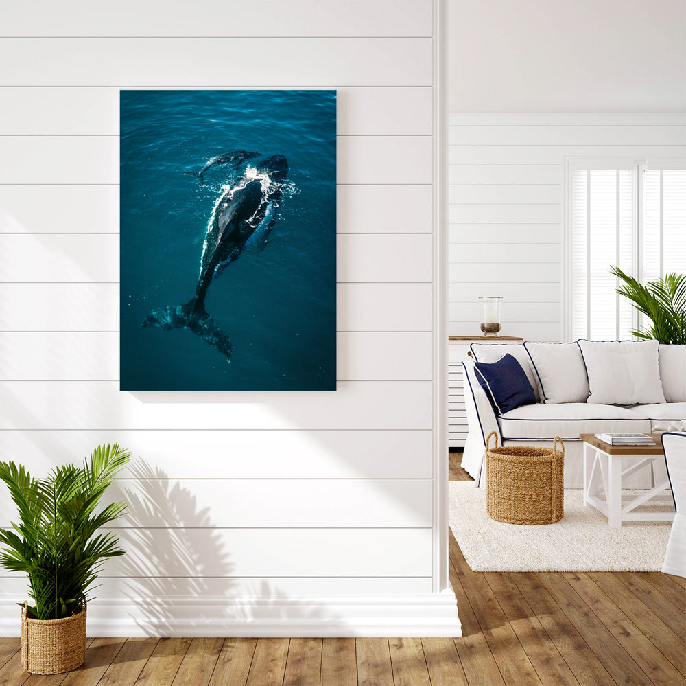 Whale's Tale