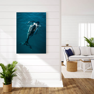 Whale's Tale