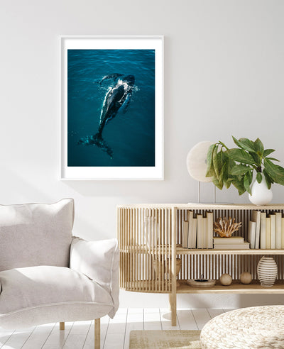 Whale's Tale