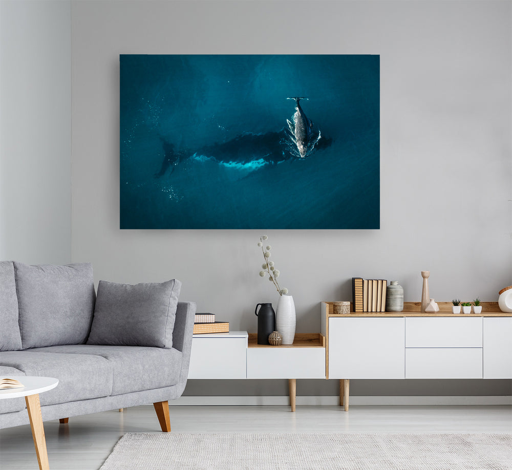 Whale Play