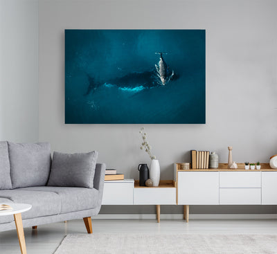 Whale Play