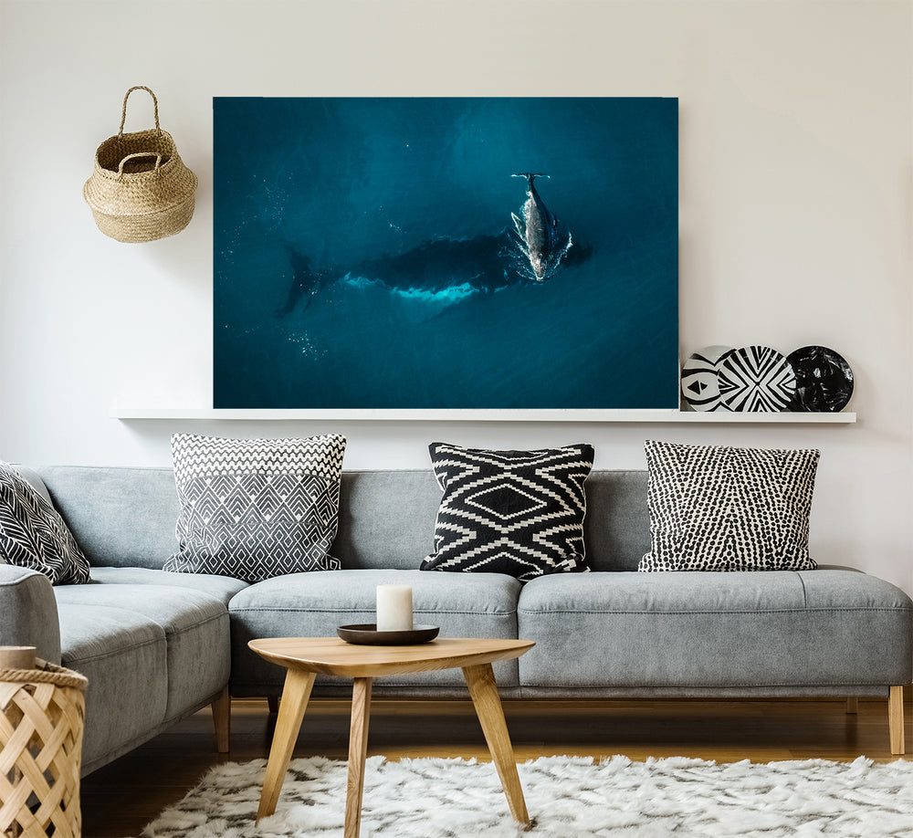 Whale Play