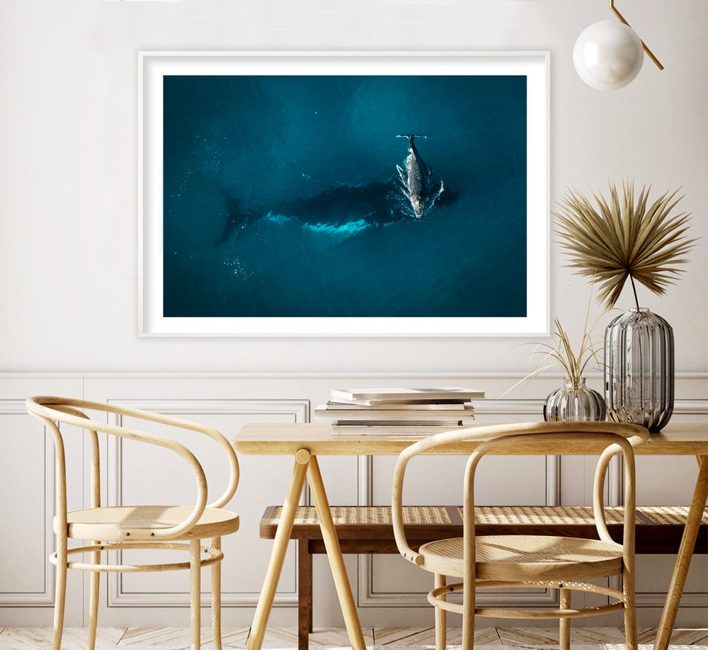 Whale Play