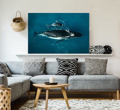Mother Whale