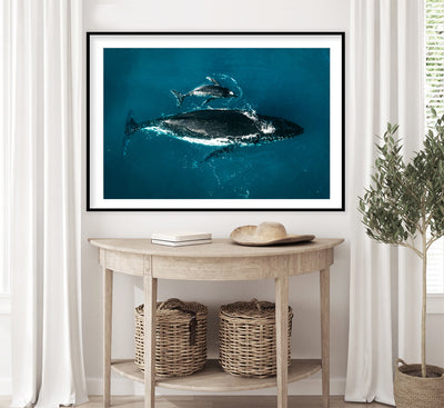 Mother Whale