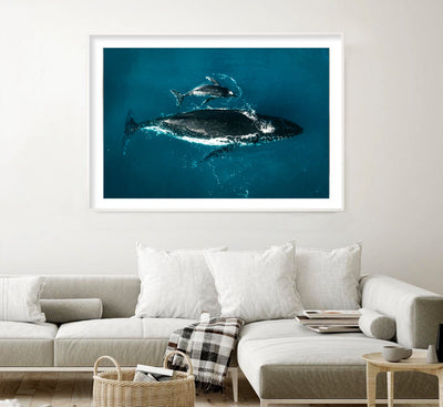 Mother Whale