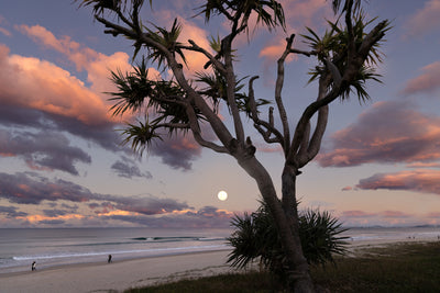 Mermaid Full Moon