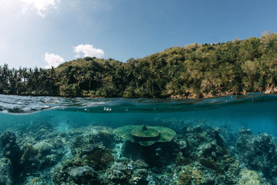 Lombok Reef