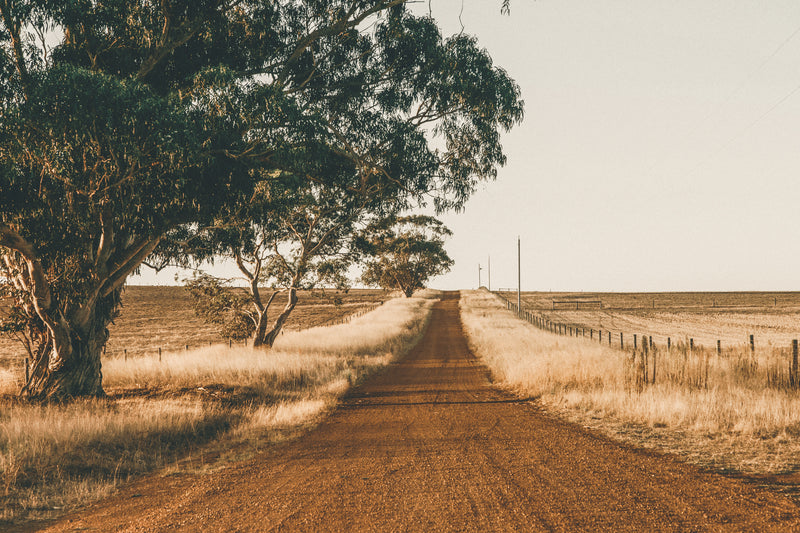 Country Road