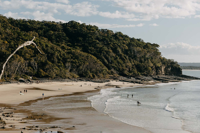 Noosa National Park