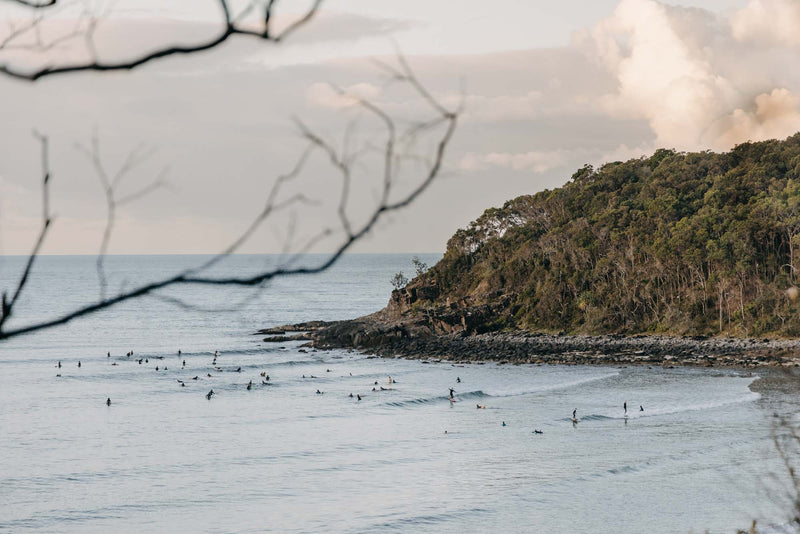 Noosa Lineup