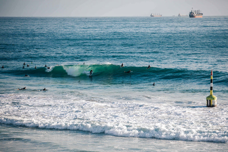 Cott Surfer