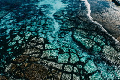 Reef Patterns