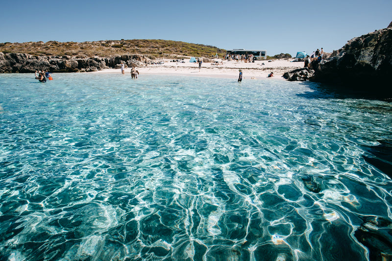Little Salmon Bay Swim