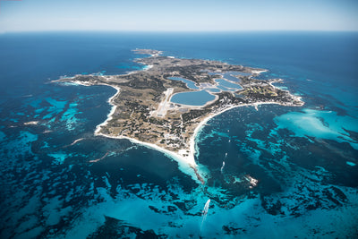 Rotto