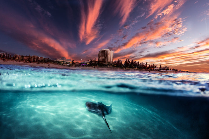Sunset Ray