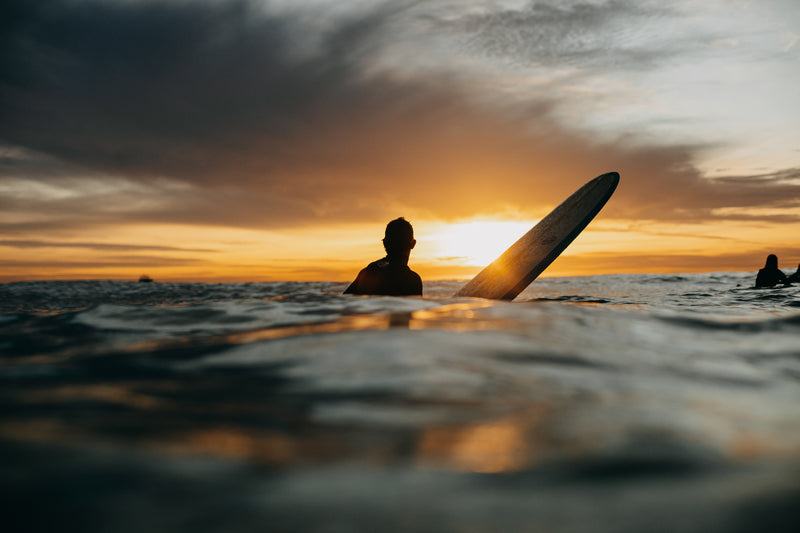 Sunset on the Log