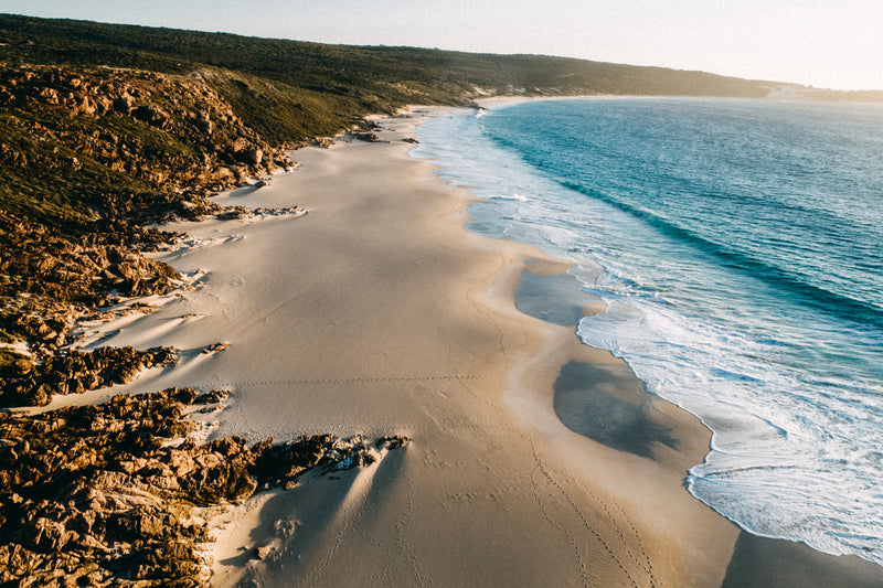 Raw Coast
