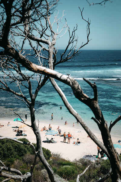 Summer in Yallingup Panoramic